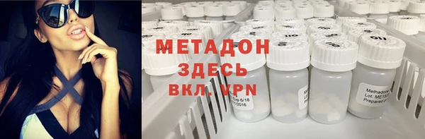 прущие грибы Бронницы