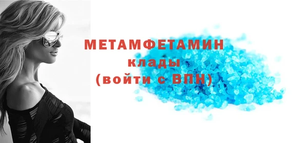 прущие грибы Бронницы