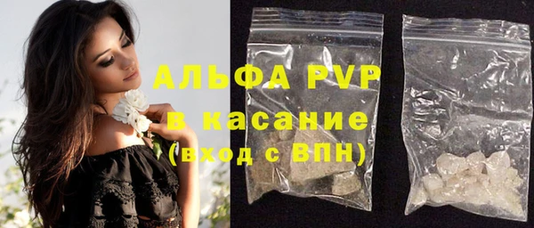 прущие грибы Бронницы