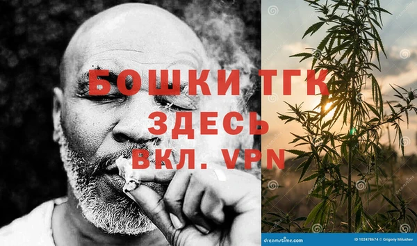 молекула духа Богородск