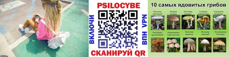 OMG как зайти  Избербаш  Галлюциногенные грибы Psilocybe  магазин продажи наркотиков 