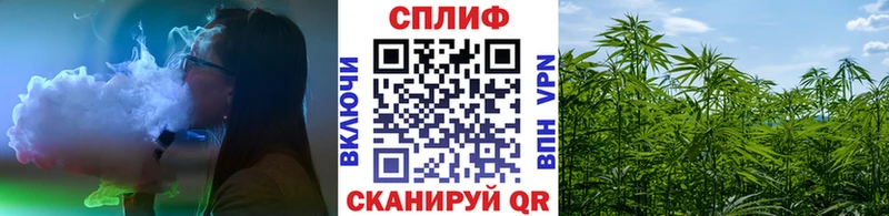Бошки марихуана семена  как найти закладки  Избербаш 